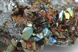 Lustrous, Iridescent Hematite Crystal Cluster - Italy #207084-4